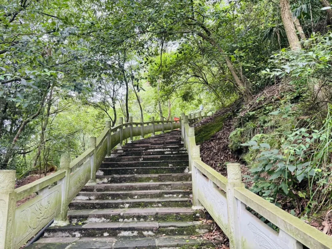 Visitor holding a bottle filled with fresh spring water from Sanmei Shui