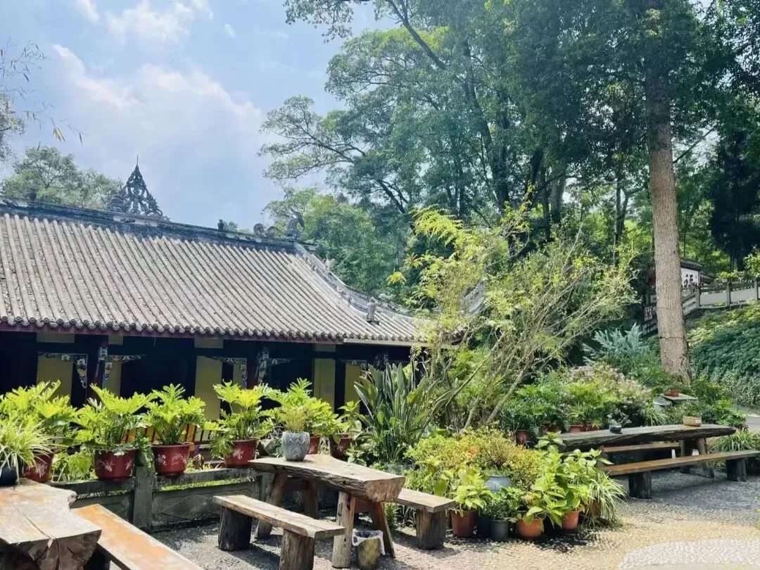 Bore Temple 300 mu site nestled in Danfeng Mountains like a phoenix's back