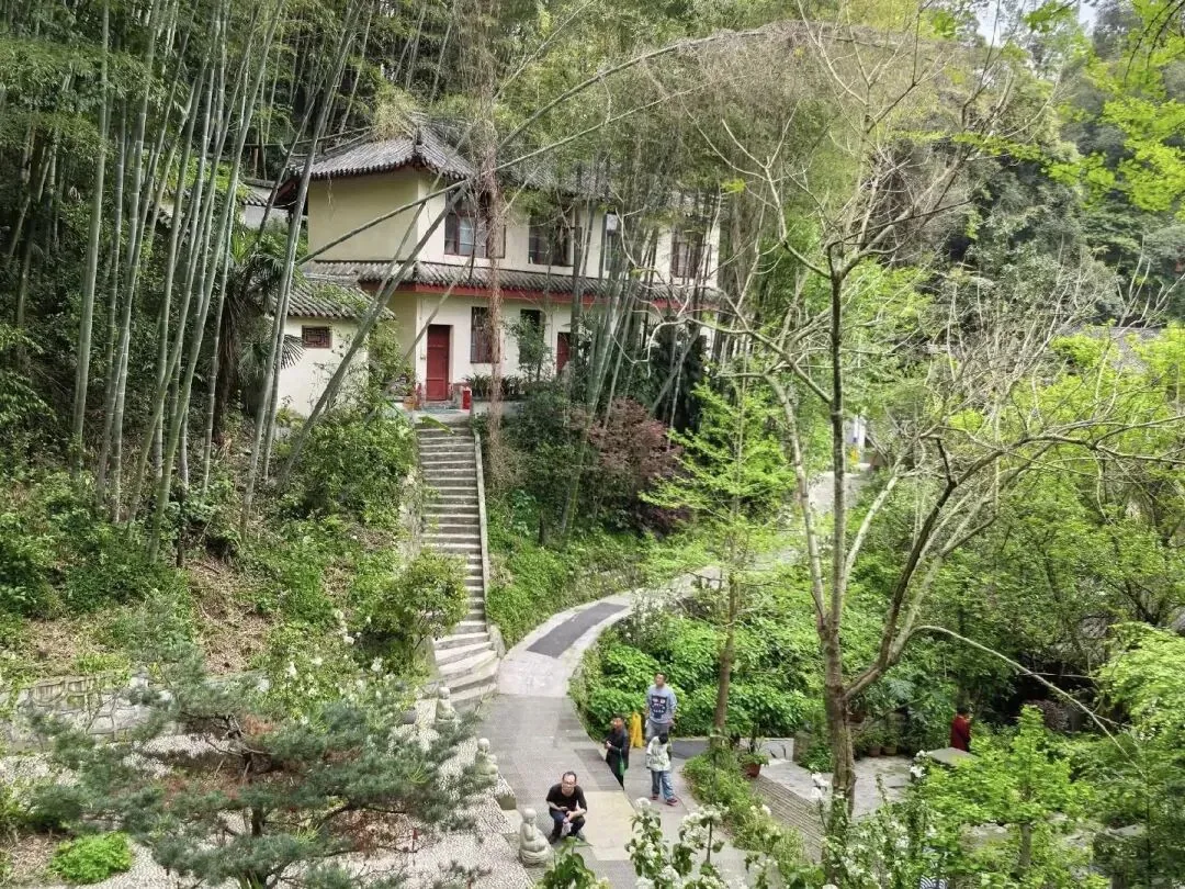 Stone archway at Bore Temple entrance with ancient pines, firs, and bamboo shaded path