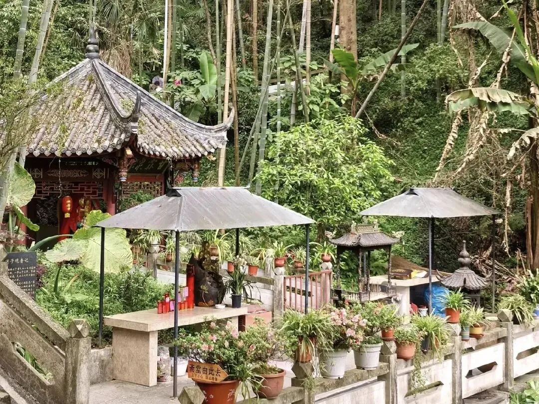 Bore Temple vegetable garden and 10 RMB vegetarian meal served 11:30 to 12:30