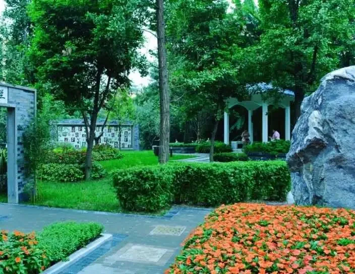 People's Park teahouse in Chengdu with locals enjoying gaiwan tea