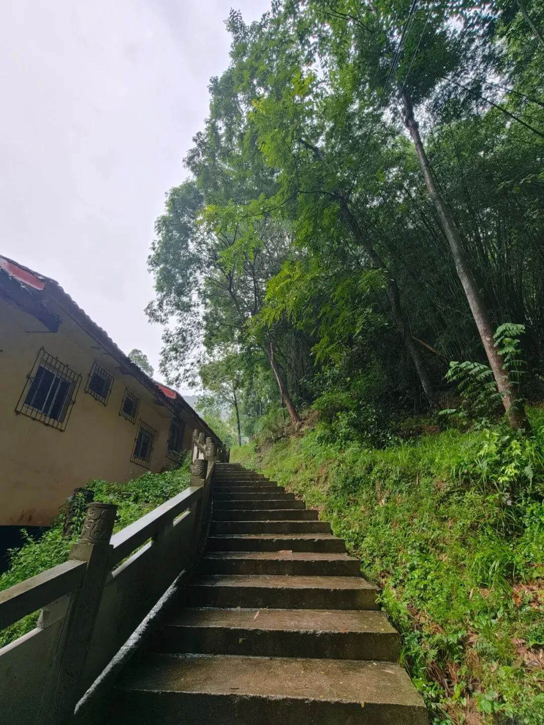 Rain washing over stone steps at Sanmei Chanlin Zen forest, Chengdu