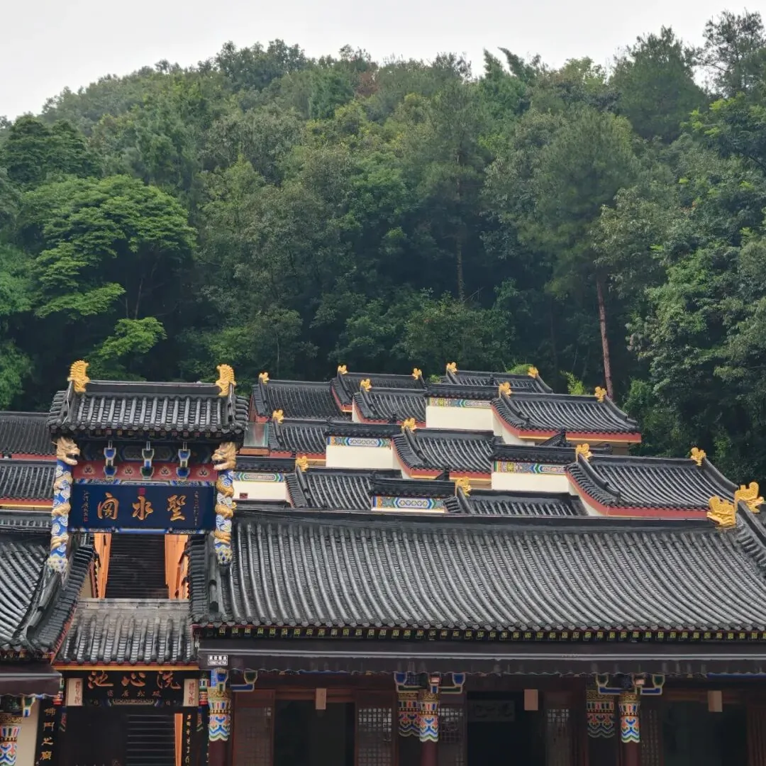 Peaceful rainy scene at Sanmei Chanlin, a Zen forest near Chengdu