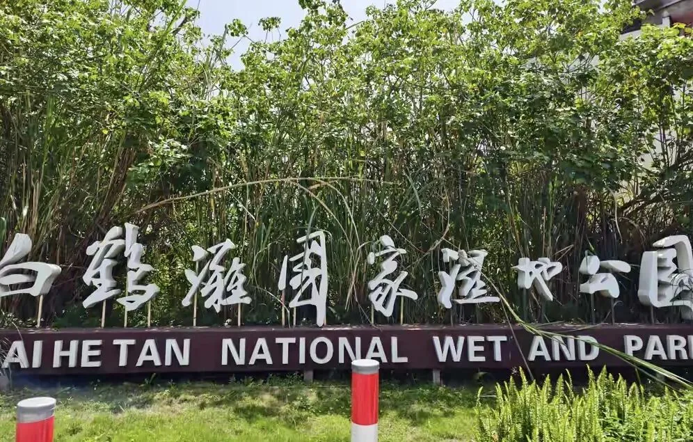 Xinjin Baihetan National Wetland Park scenic view