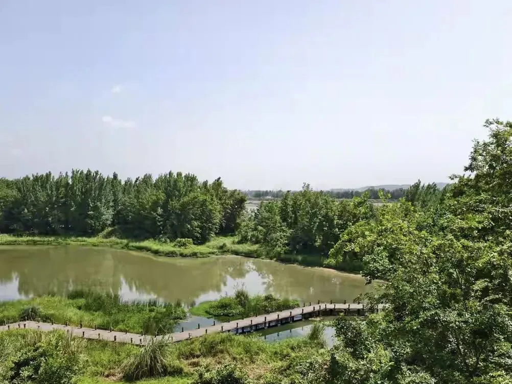 Aerial view of Baihetan Wetland Park showing vast wetlands and river