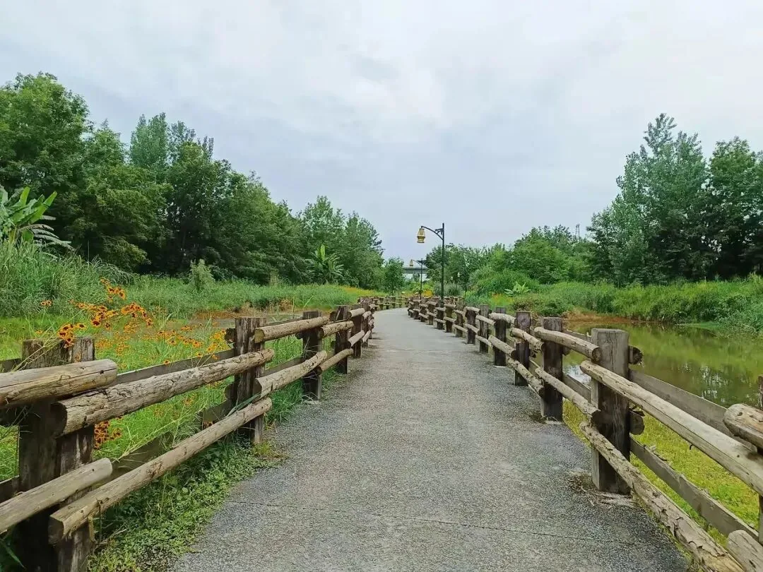 Ancient ferry wharf with stone steps at Baihetan Wetland Park