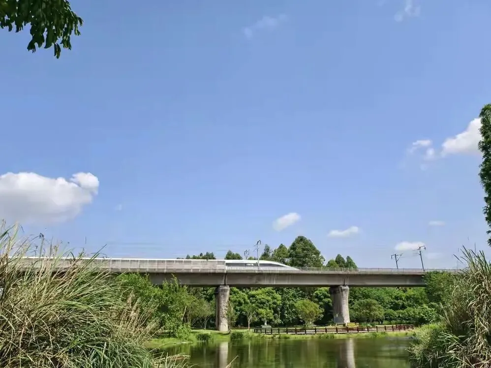 Changxing and Daxing bridges over water with high-speed train passing