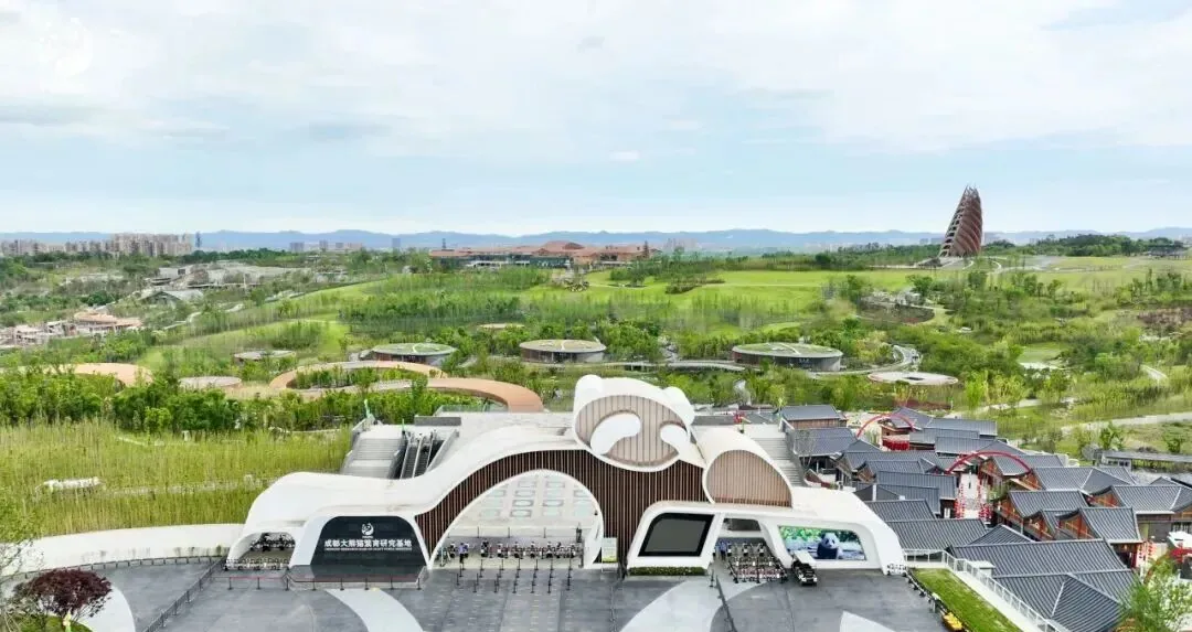 Pathway through the panda base with visitors walking