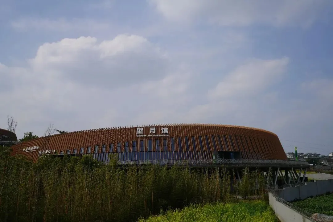 Shanyue Pavilion indoor panda exhibit with viewing windows
