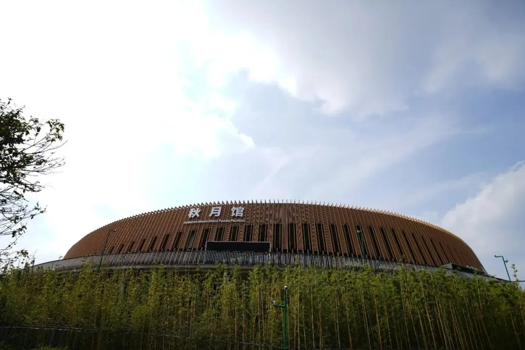 Wangyue Pavilion housing pandas in the new area
