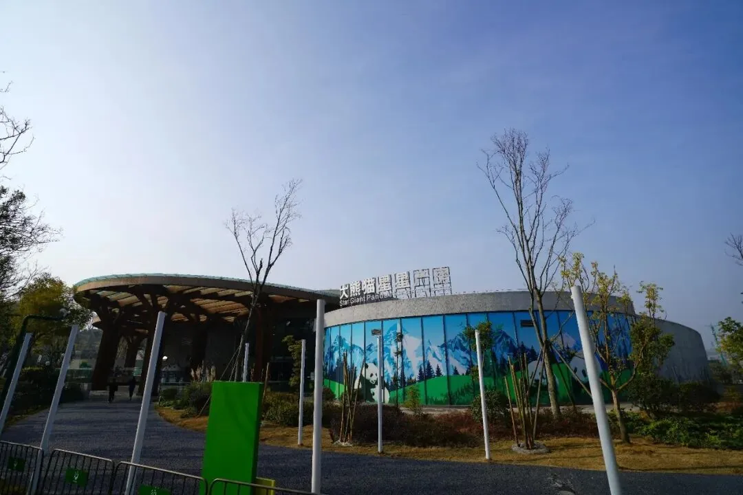 Xinghan Pavilion with pandas visible through glass