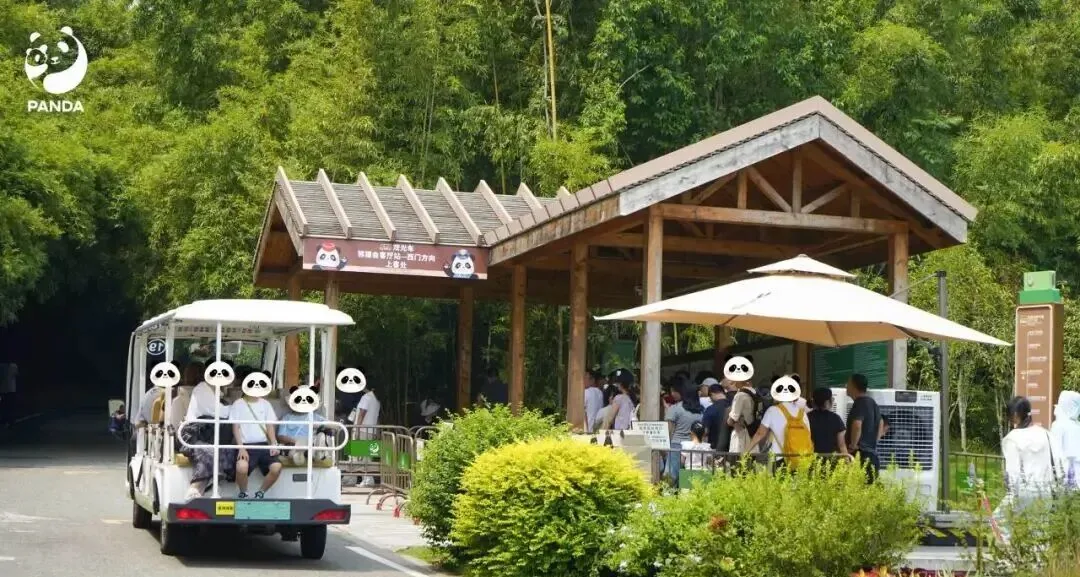 Overview of the new area with modern panda habitats