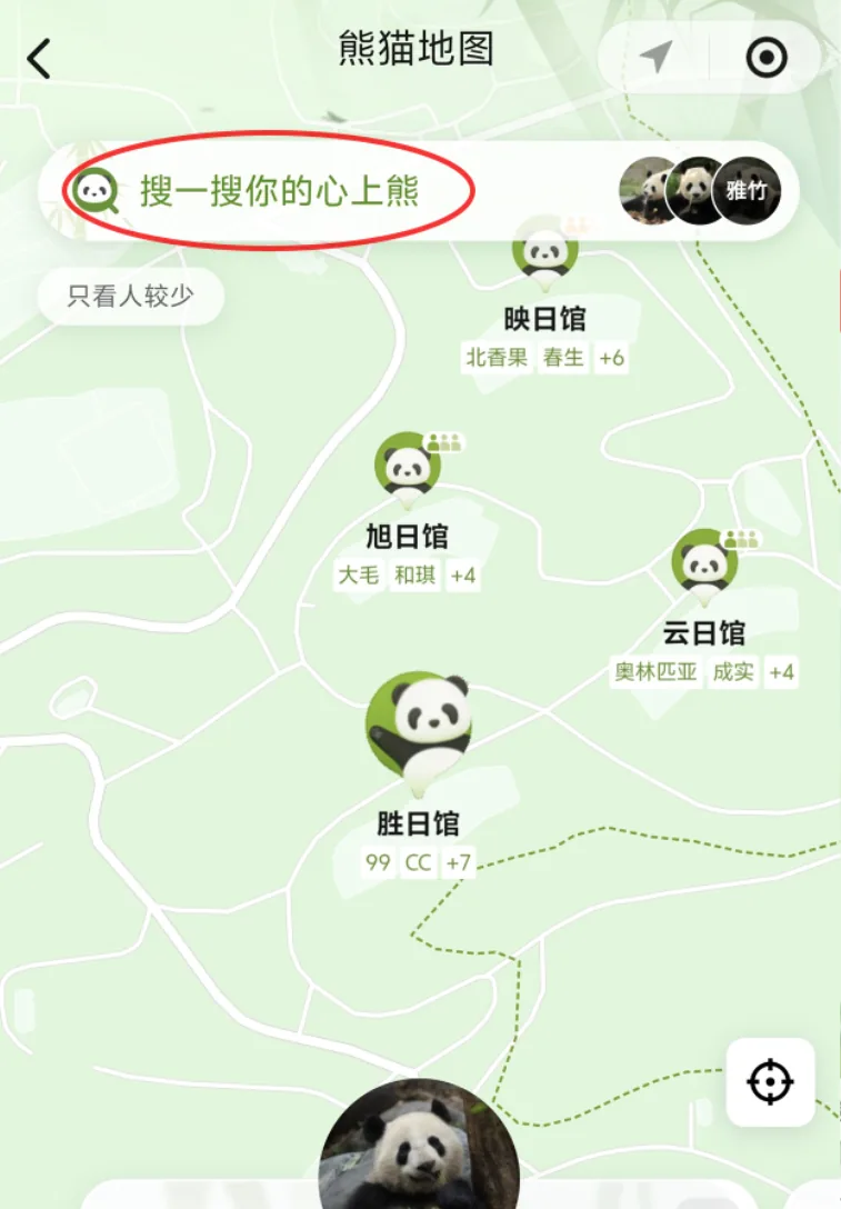 Visitor checking panda locations on a mobile app