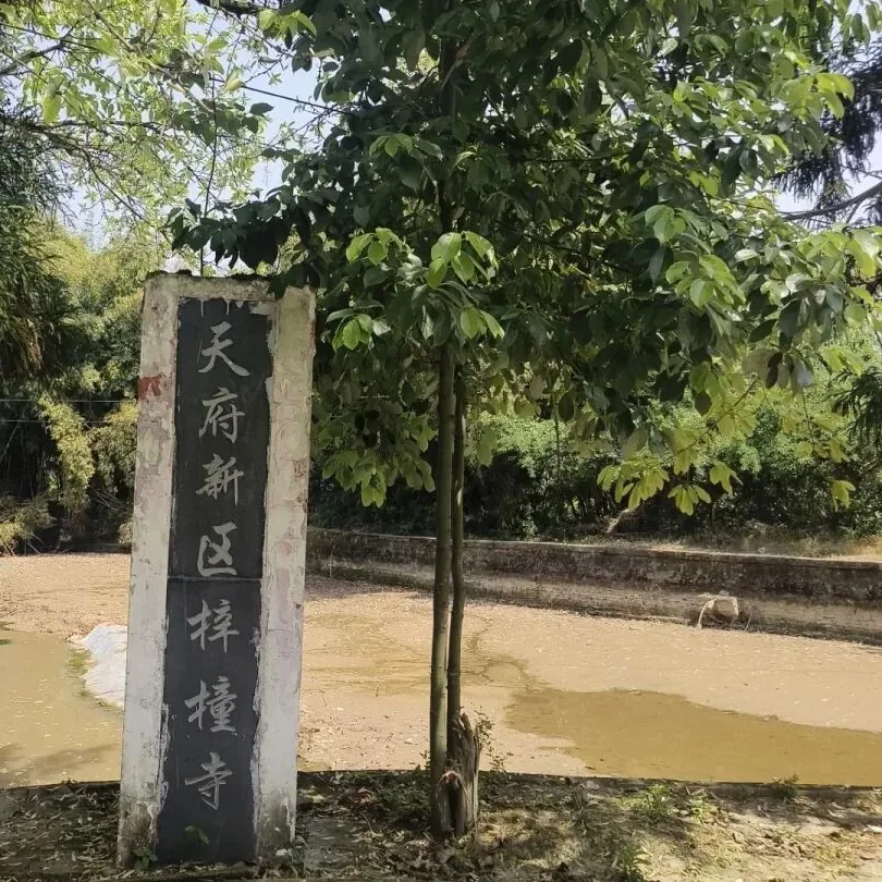 Zitong Temple history dating back to the Yuan Dynasty
