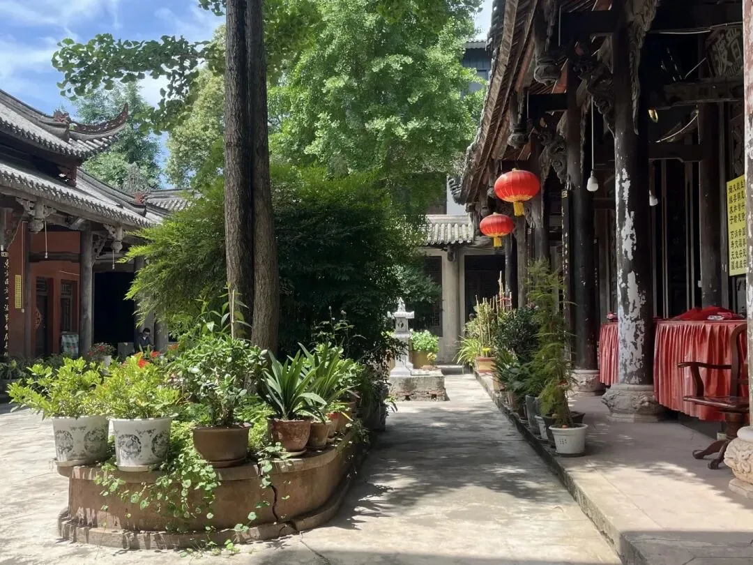 Little cats relaxing in the temple courtyard