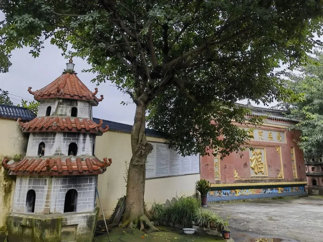 Peaceful temple stay to escape city anxiety