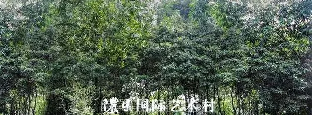 Artistic Sichuan-style garden at Nongyuan, a peaceful Chengdu hideaway