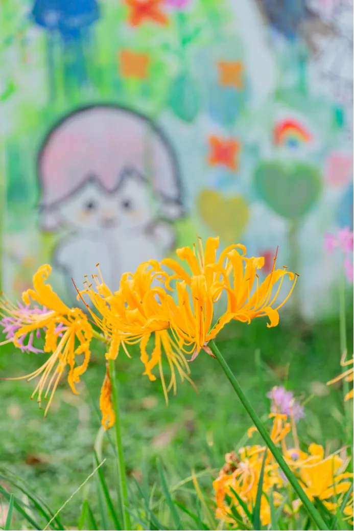 Spider lilies at the Octagonal Pavilion in Culture Park