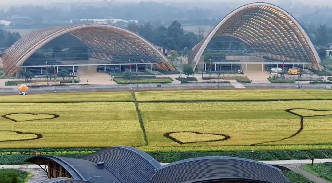 Visitors walking through blooming flower fields at Tianfu Agro-Expo Park