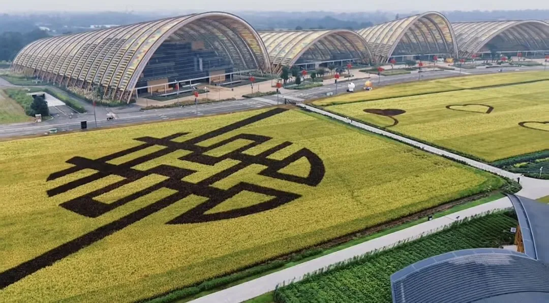 Golden October floral display at Tianfu Agro-Expo Park, Chengdu