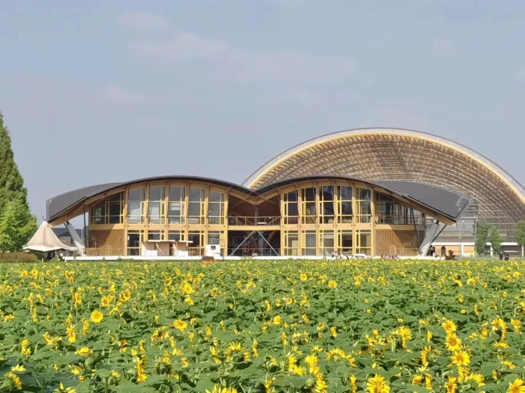 Path through the flower fields at Tianfu Agro-Expo Park