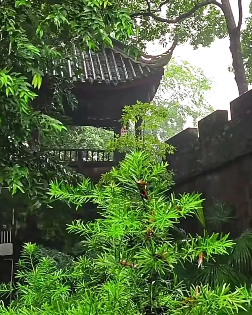 Ancient lake and greenery at Donghu Park, a Tang dynasty masterpiece