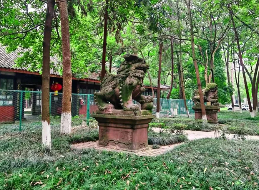 Ancient cypress trees at Longzang Temple after rain, trunks dark and sturdy
