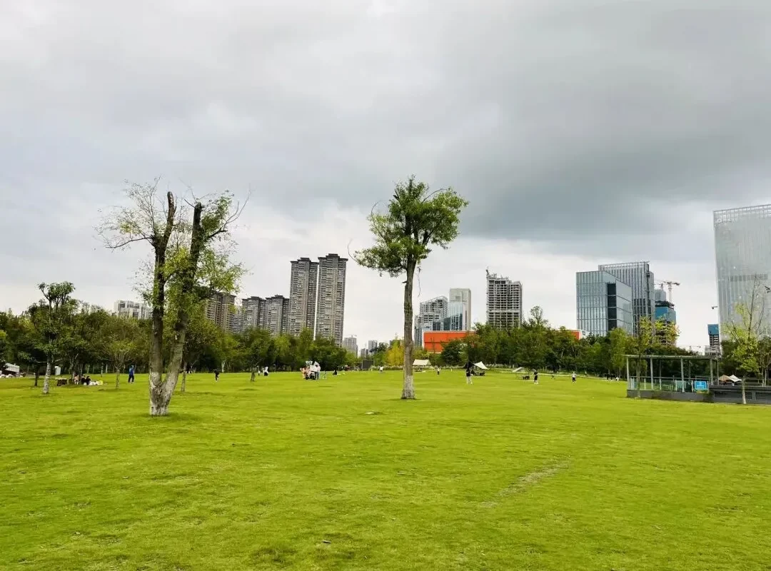 Tianfu Park: Chengdu’s Biggest Central Park in Autumn