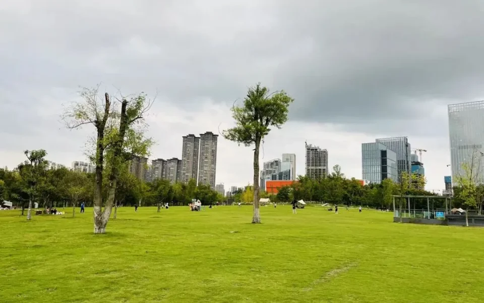 Tianfu Park: Chengdu’s Biggest Central Park in Autumn