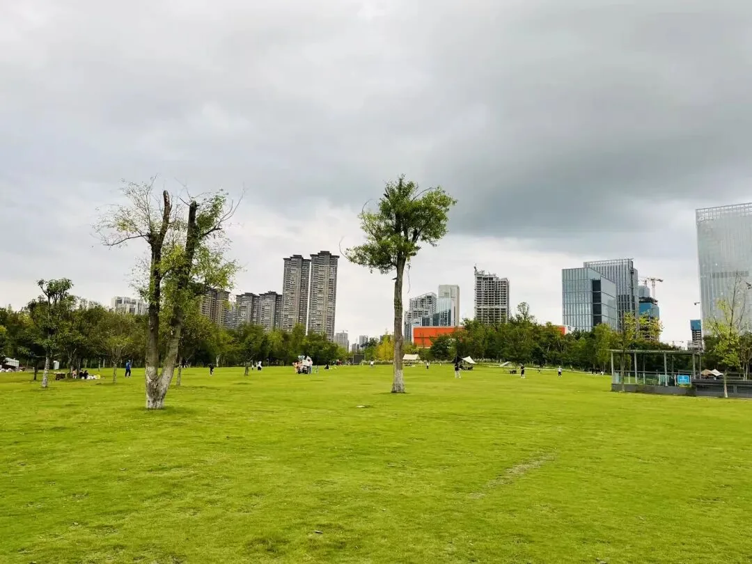Aerial view of Tianfu Park in Chengdu's Tianfu New Area, a vast green space