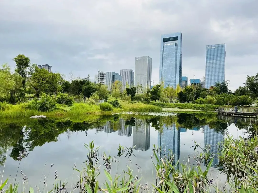 Tianfu Park, Chengdu's largest urban central park, seen from above