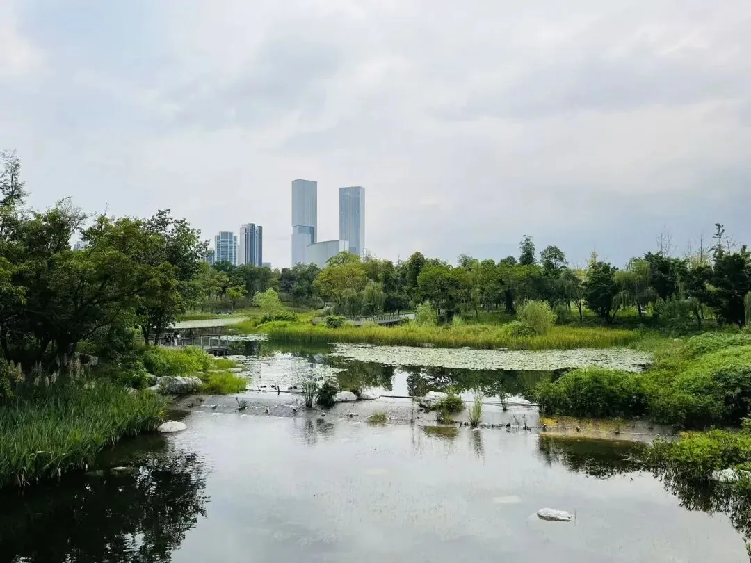 Symmetrical layout of Tianfu Park along Tianfu Avenue, covering 3,450 mu