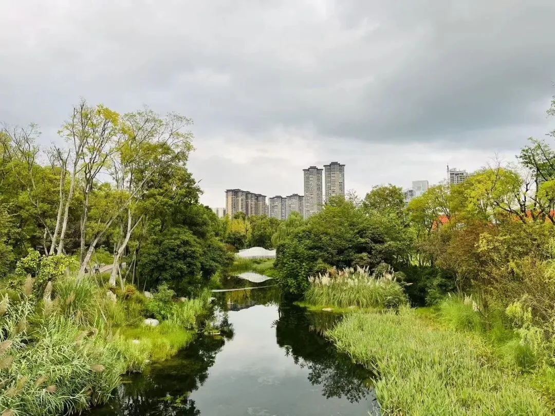 October at Tianfu Park: open lawns, clear lake, and wide skyline