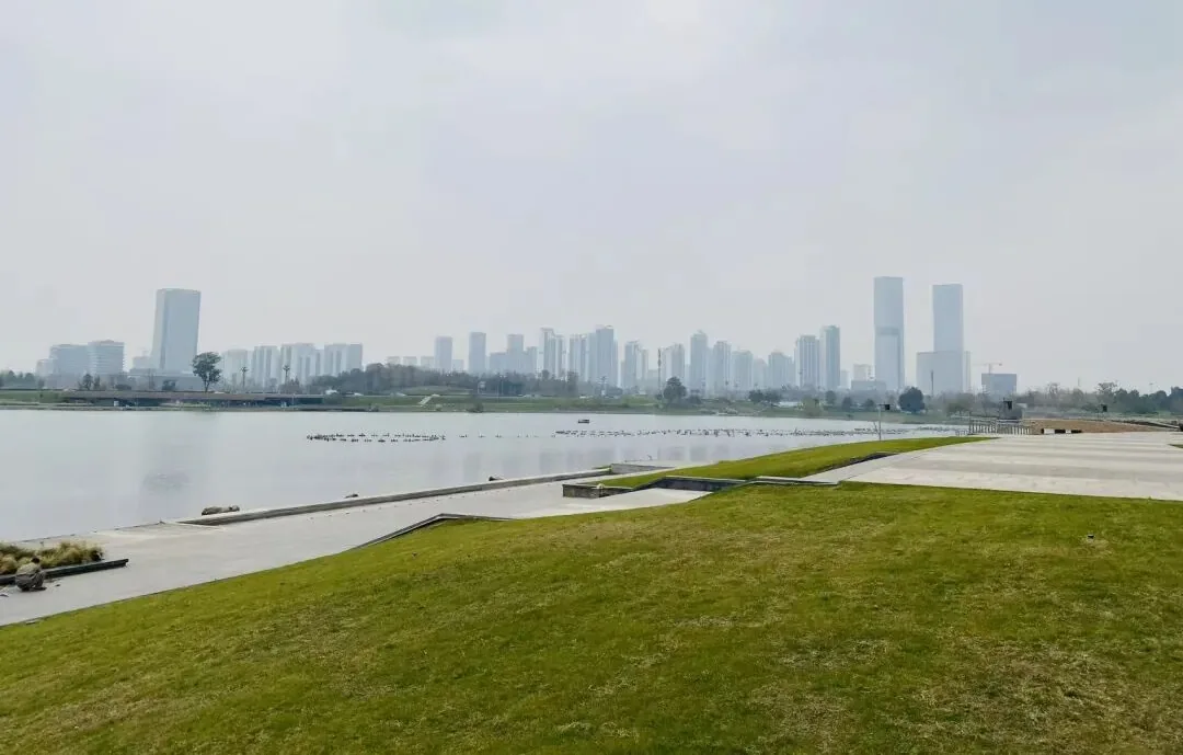 Qinhuang Lake reflecting blue sky and buildings, with the "loneliest tree" on the lawn