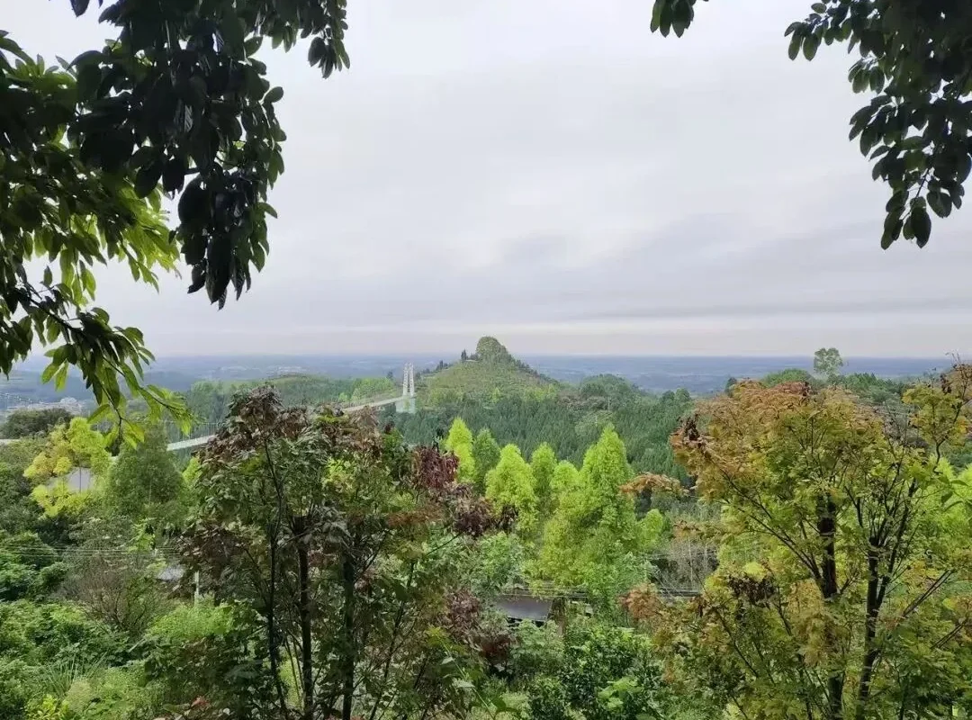 Yuhuang Mountain: The Perfect Autumn Hike Near Chengdu