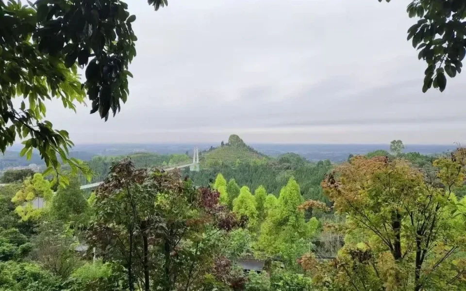 Yuhuang Mountain: The Perfect Autumn Hike Near Chengdu