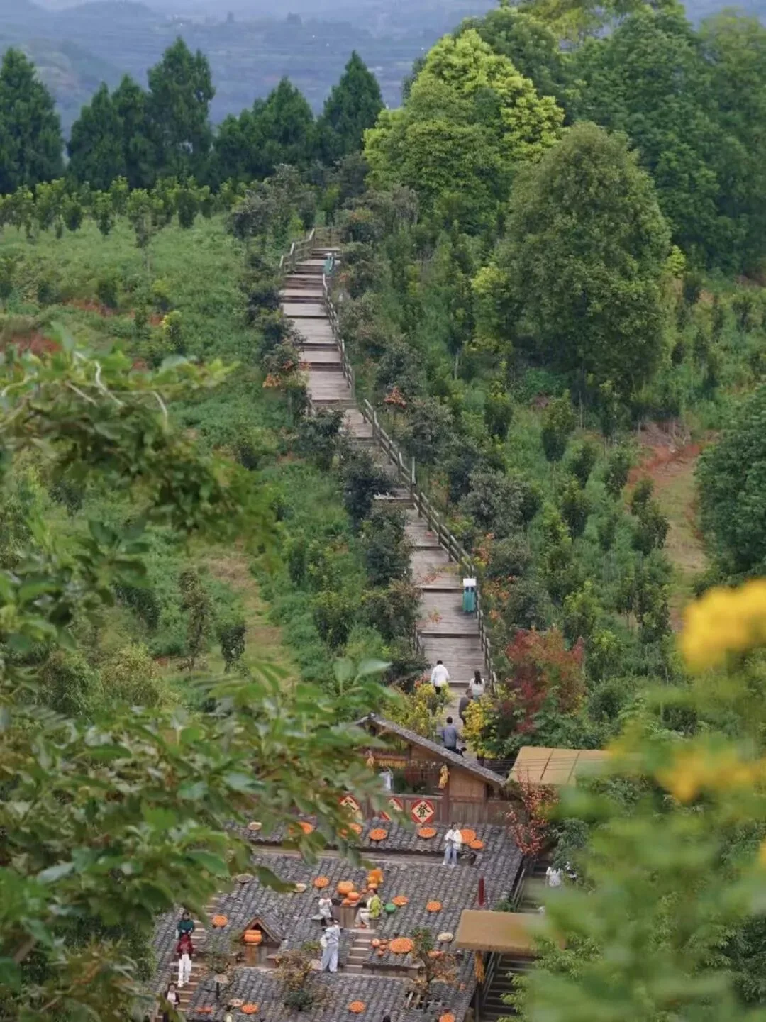 Autumn colors on Yuhuang Mountain in Jintang, Chengdu