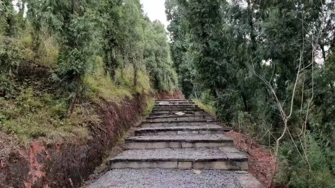 Wooden boardwalk trail on Yuhuang Mountain after rain