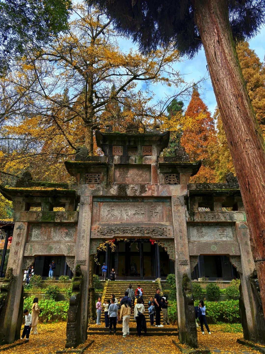 Golden ginkgo leaves covering the ground at Lingyan Temple