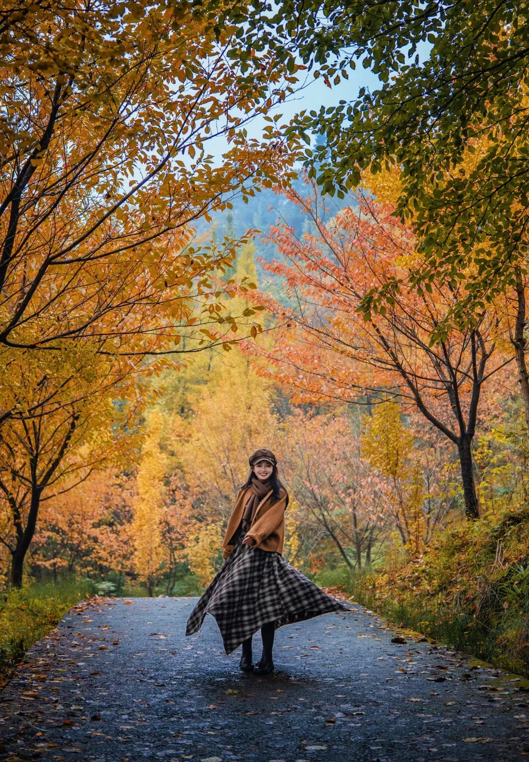 Cement trail through colorful autumn forest at Tongmagou
