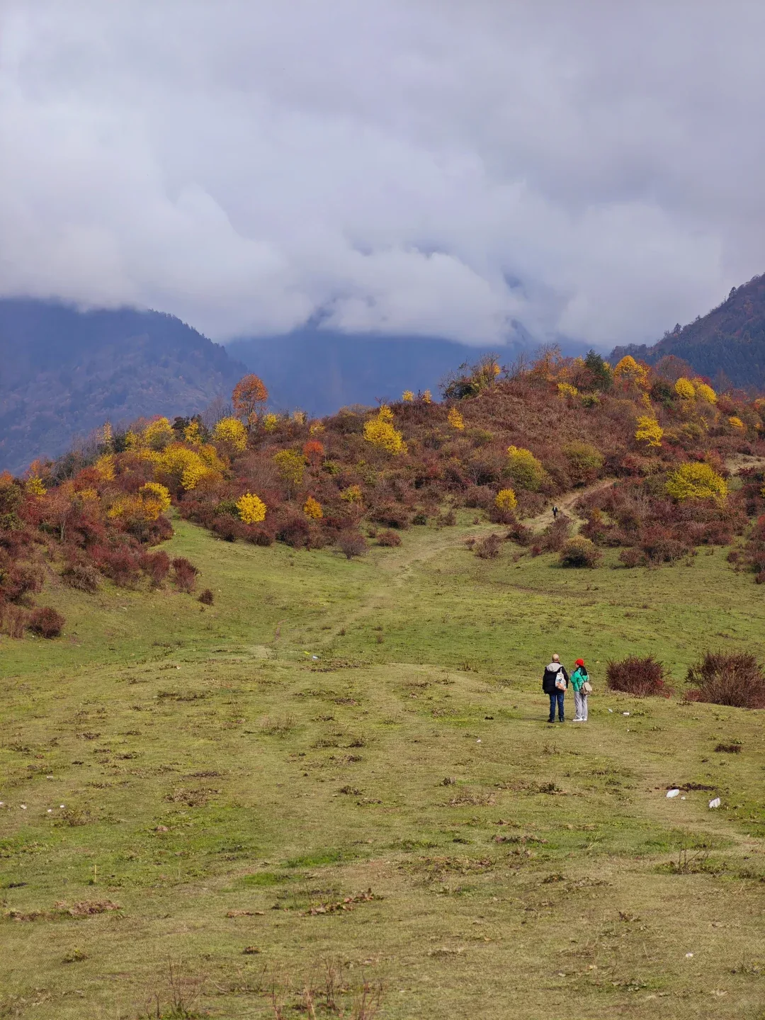 Swing on the grassy summit of Panda Ping with mountain views