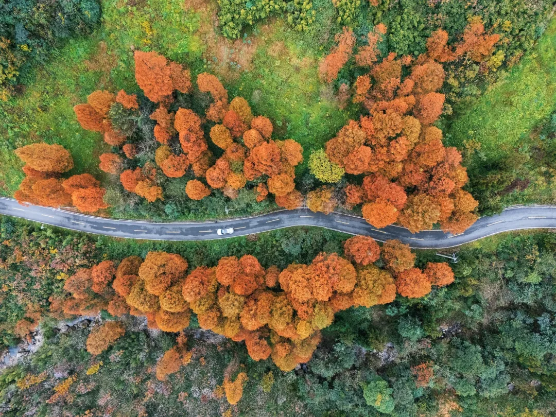 The popular S-curve trail on Zhaogong Mountain in autumn
