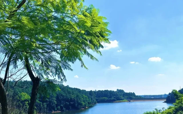 Yong’an Lake City Forest Park: Chengdu’s Urban Forest Escape