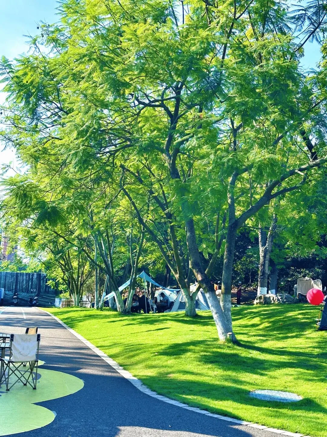 View from the sky walkway overlooking the lake and forest