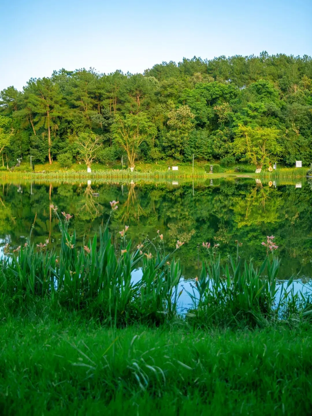 Lakeside lawn with tents and picnicking visitors