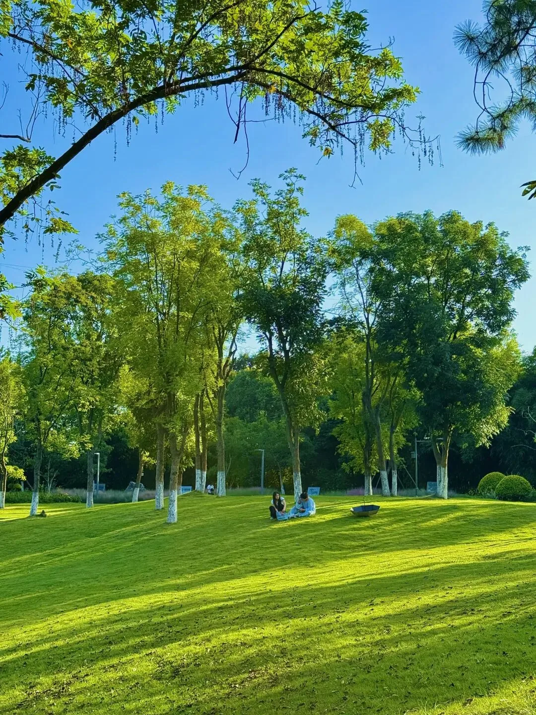 Greenway path winding through Yong'an Lake Forest Park