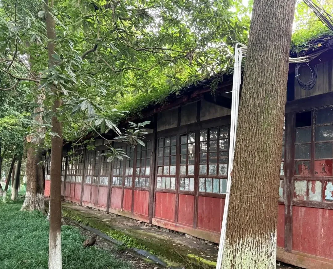 Circular water system and overgrown courtyards at Longzang Temple