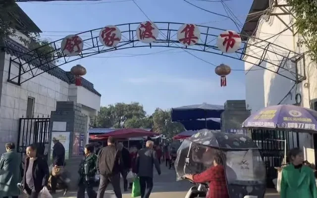 Hesheng Ancient Town Chengdu: 2 RMB Tea & Autumn Vibes